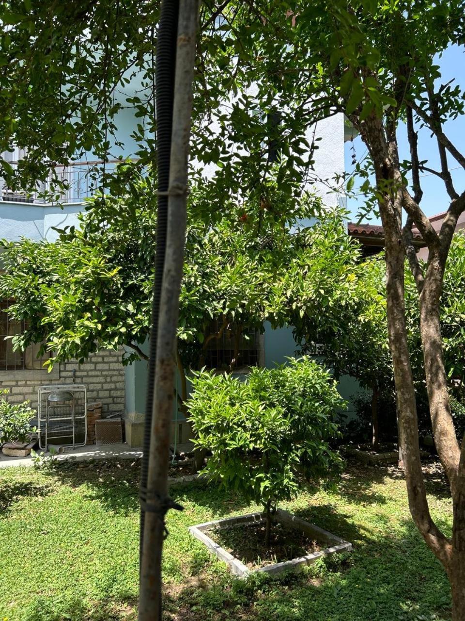 Guesthouse Katerina Berat Esterno foto