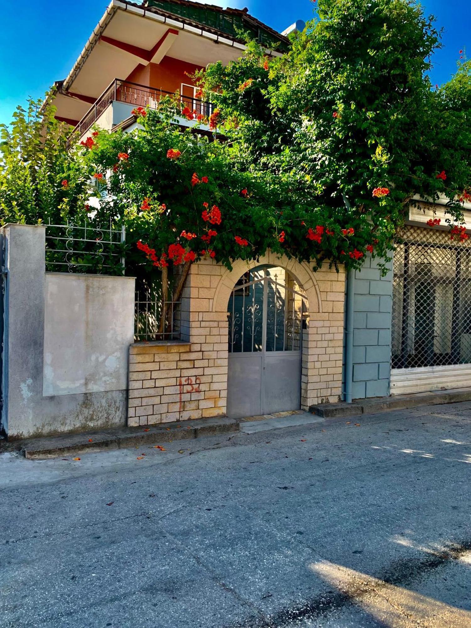 Guesthouse Katerina Berat Esterno foto