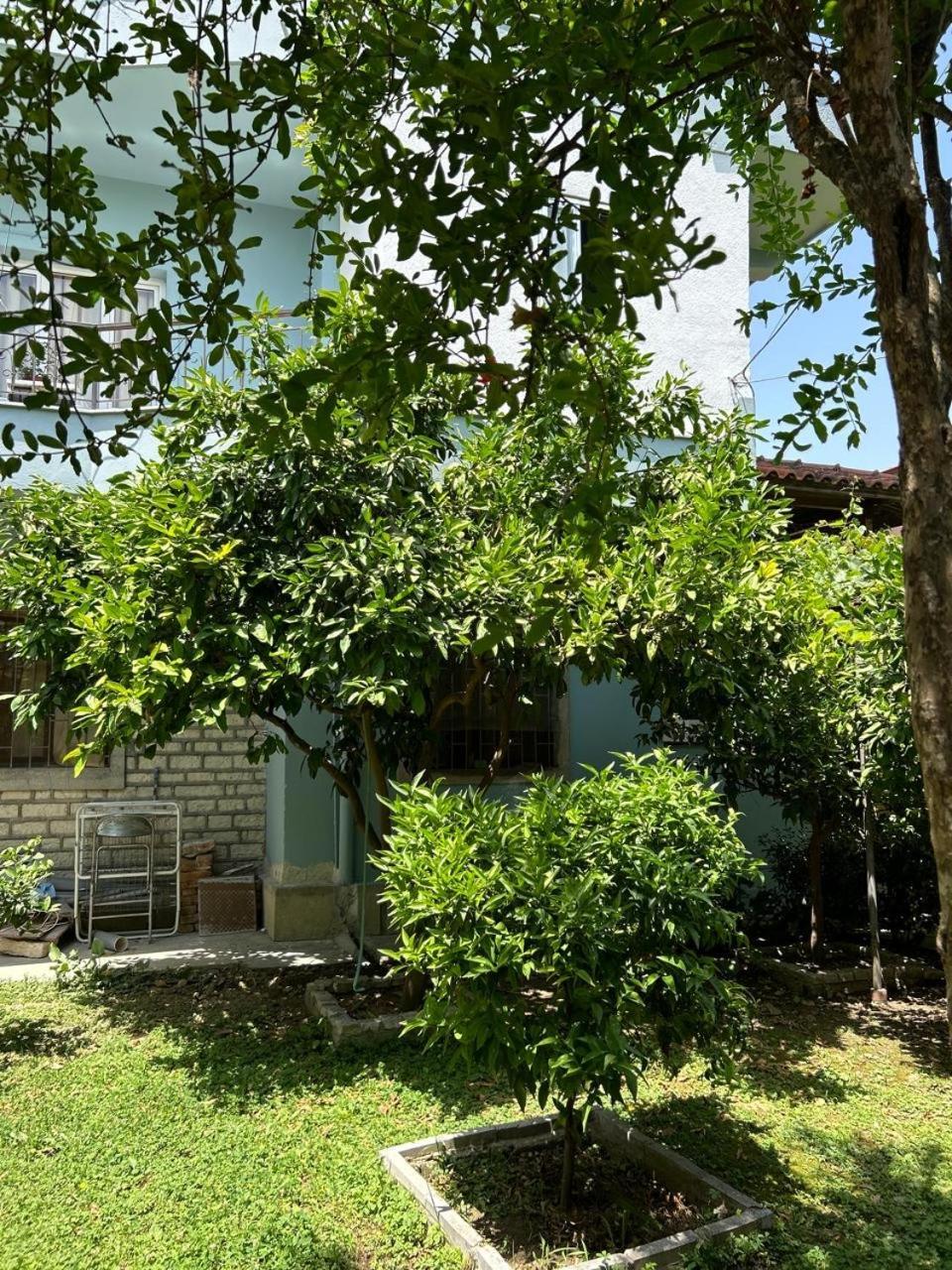 Guesthouse Katerina Berat Esterno foto